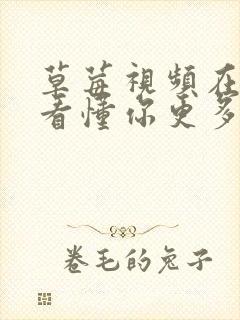 草莓视频在线观看懂你更多
