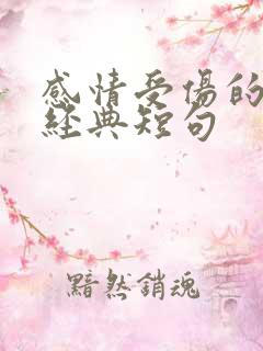 感情受伤的句子经典短句