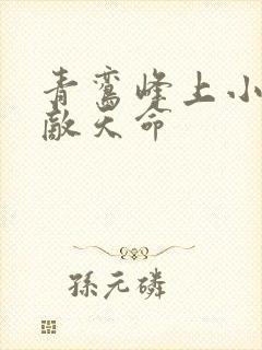 青鸾峰上小说无敌天命 青鸾峰上小说无敌天命