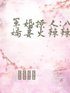 军婚撩人:八零娇妻火辣辣小说免费看