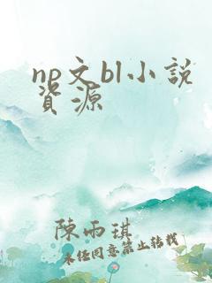 np文bl小说资源
