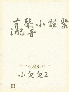 有声小说紫襟ai配音