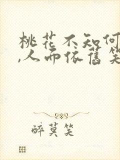 桃花不知何处去,人面依旧笑春风的意思