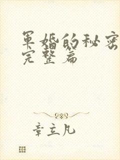 军婚的秘密番外完整篇
