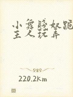 小舞贱奴跪好请主人玩弄 小舞贱奴跪好请主人玩弄