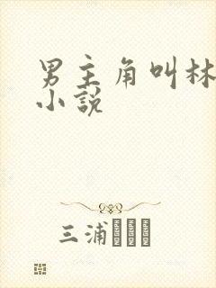 男主角叫林衍的小说