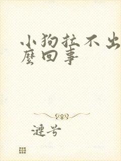 小狗拉不出屎怎么回事 小狗拉不出屎怎么回事