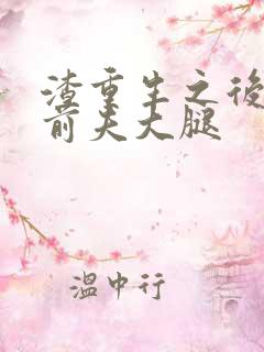 渣重生之后抱紧前夫大腿