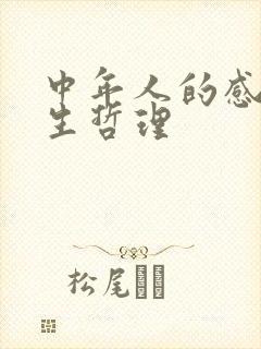 中年人的感悟人生哲理