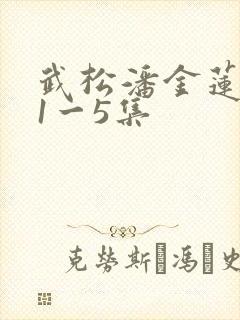 武松潘金莲肉欲1一5集