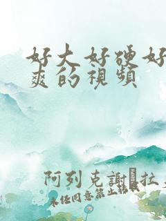 好大好硬好湿好爽的视频