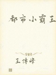 都市小霸王