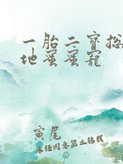 一胎二宝总裁爹地蜜蜜宠