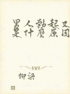 男人勃起又软了是什么原因