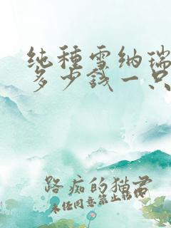 纯种雪纳瑞一般多少钱一只