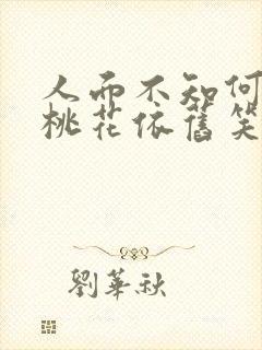 人面不知何处去桃花依旧笑春风含义