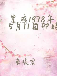 农历1978年5月11日卯时八字