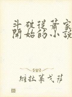 斗破从萧家老六开始的小说 斗破从萧家老六开始的小说