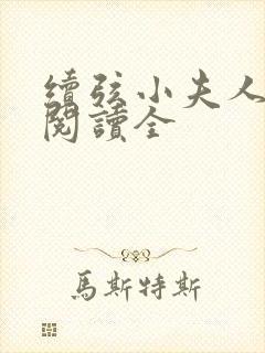 续弦小夫人免费阅读全