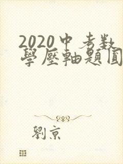 2020中考数学压轴题圆的综合