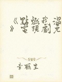 《点燃我温暖你》电视剧免费观看