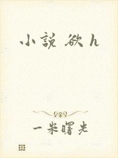 小说 欲 h