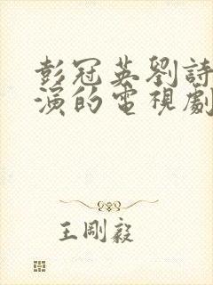 彭冠英刘诗诗主演的电视剧