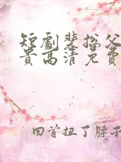 短剧裴总父凭子贵高清免费看