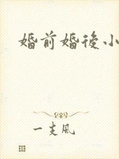 婚前婚后小说