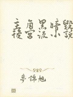 主角黑暗毁三观后宫流小说
