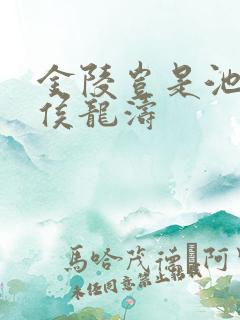 金陵岂是池中物侯龙涛