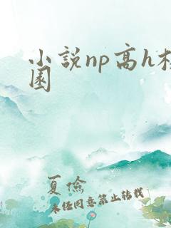 小说np高h校园