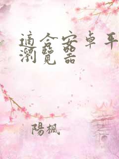 适合安卓平板的浏览器