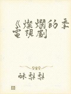 《灿烂的季节》电视剧
