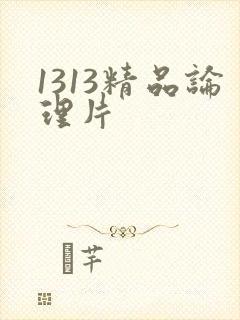 1313精品论理片 1313精品论理片