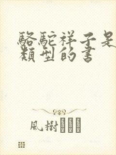 骆驼祥子是什么类型的书