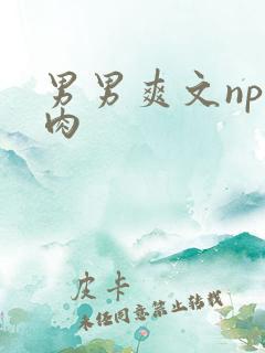 男男爽文np全肉 男男爽文np全肉