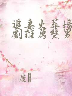 追妻火葬场广播剧推荐双男主