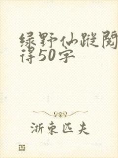绿野仙踪阅读心得50字
