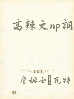 高辣文np调教