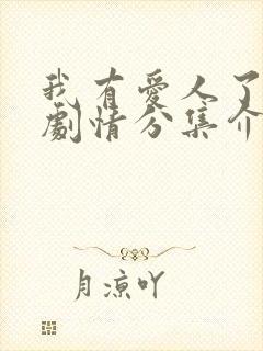 我有爱人了韩剧剧情分集介绍