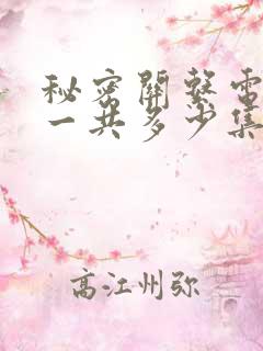 秘密关系电视剧一共多少集