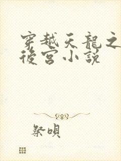 穿越天龙之风流后宫小说
