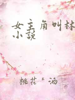 女主角叫林夏的小说