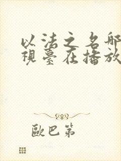 以法之名哪个电视台在播放