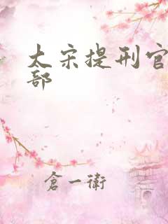 大宋提刑官第1部