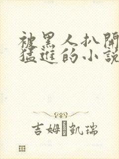 被黑人扒开双腿猛进的小说