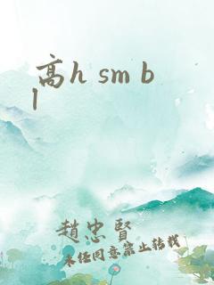 高h sm bl