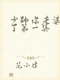 少帅你老婆又跑了第一集