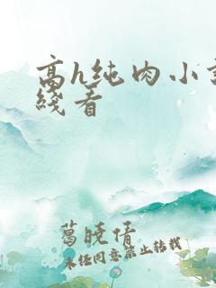 高h纯肉小说在线看